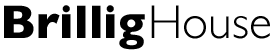 brillig-logo